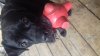 20180622_115334.jpg