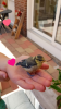 Screenshot_20180625-160743.png