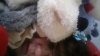 20180626_173214.jpg