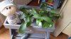 IMG-20180627-WA0007.jpeg