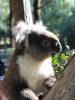 IMG-20180629-WA0006.jpg