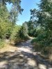 IMG_20180702_130848.jpg
