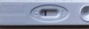 36D1AB8D-5D96-476D-B1CE-980FCA6CC394.jpeg