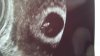 IMG-20180704-WA0001.jpeg