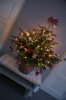 DSC04653.jpg
