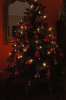 DSC09232.jpg