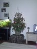 20121212_202942.jpg