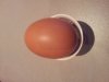 20121215_160013.jpg