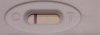 test.jpg