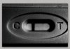 test 2.jpg