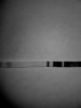 20180706_095957.jpg
