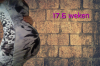 1530857209095.png