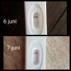 IMG_2018-07-07_13-58-58.JPG