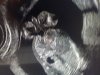 20180705_211545.jpg