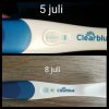 IMG_2018-07-08_12-13-20.JPG