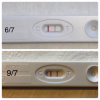 78B9156C-ABF1-40E1-A904-D4277B84DA7C.png