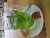 20180709_153332.jpg