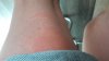 20180709_095730.jpg