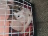 20180709_153432.jpg