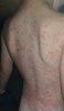 20180709_211420.jpg
