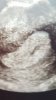 Screenshot_20180710-075801_Gallery.jpg