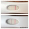 B48A2748-E0A5-4068-AAF0-DA410CCC06A8.jpeg