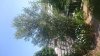 IMG-20180712-WA0002.jpeg