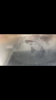 25AC0EF0-3555-4A46-8313-75CCFD3D6F56.png