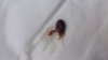20180713_135050.jpg