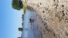 20180714_101139.jpg