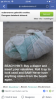 729664CB-3D4F-4B86-947C-D870F66248FE.png