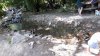 IMG-20180715-WA0024.jpeg