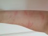 20180716_154529.jpg