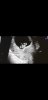 Screenshot_20180716-160346_Photos.jpg