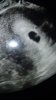 Screenshot_20180716-162545_Gallery.jpg