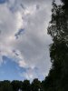 IMG_20180717_163448.jpg