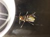 20180718_000807.jpg
