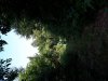 20180722_140307.jpg
