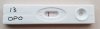 13 DPO.jpg