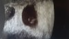 IMG-20180724-WA0014.jpeg