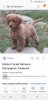 Screenshot_20180724-222125_Samsung Internet.jpg