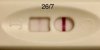 A2692E4C-8269-409B-83BB-71C527DE75E5.jpeg