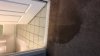 A5076DC6-C45A-464D-B95B-96FDC69430F2.jpeg