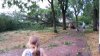 20180726_204444.jpg