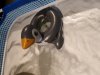 20180727_235709.jpg