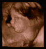 baby3.png