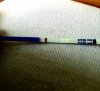 20180731_162929.jpg