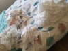 20180802_123353.jpg