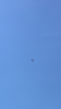 BE46BBBE-304B-4FC2-9355-86EBCDF01BFE.png