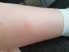 20180802_160428.jpg
